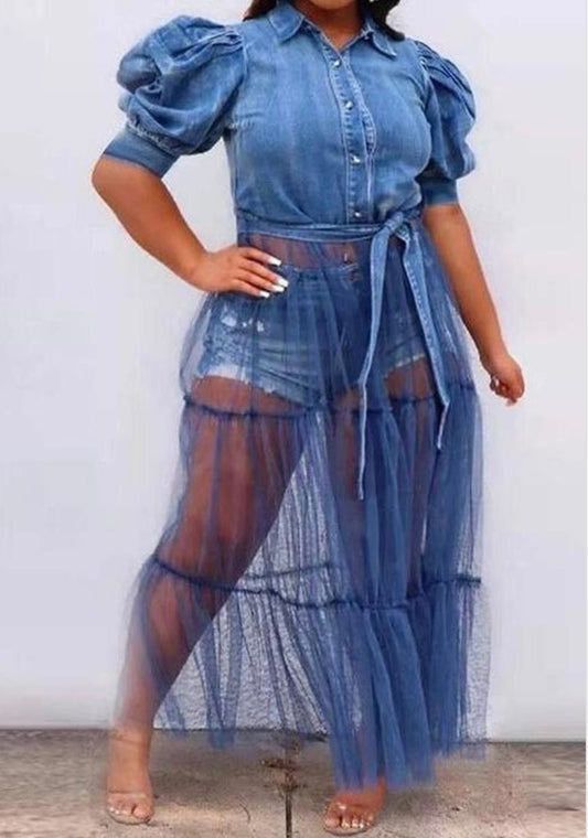 BLUE SLEEVE DRESS